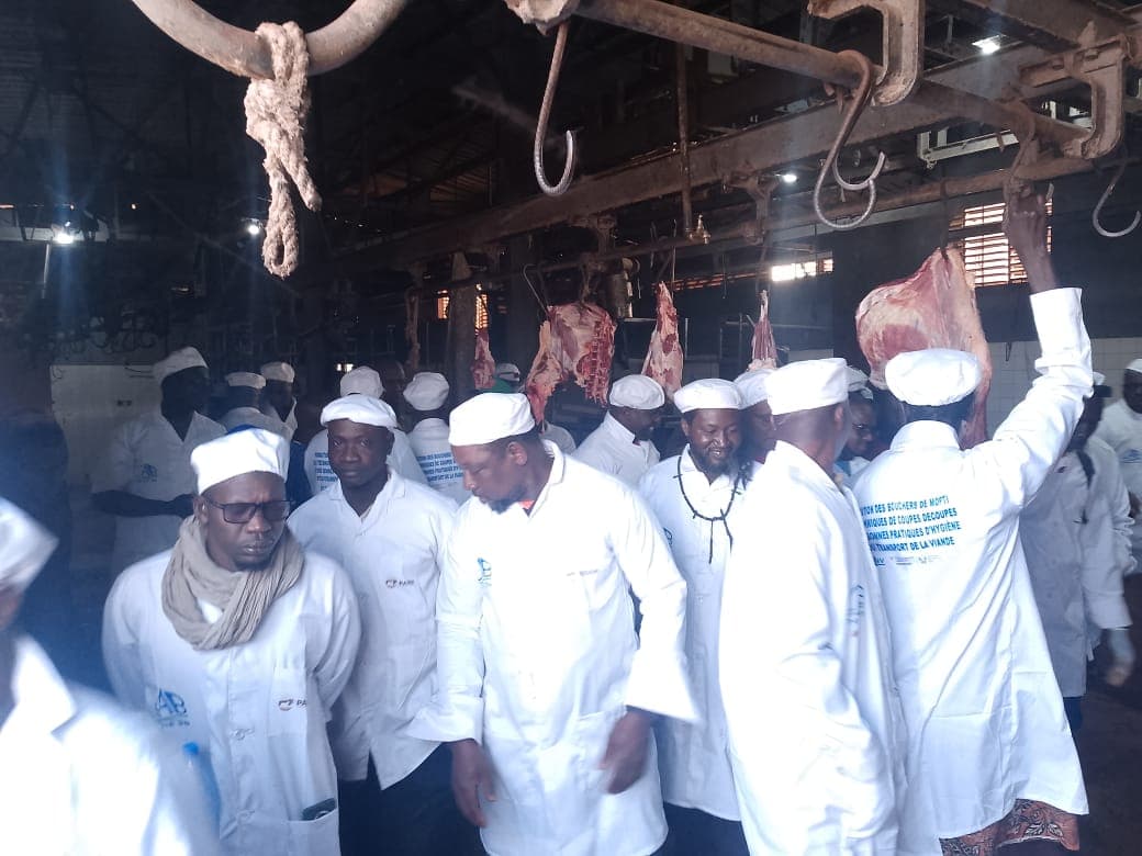 RENFORCEMENT DES CAPACITES DES ACTEURS DE LA FILIERE BETAIL-VIANDE : CAB Demeso aux côtés des bouchers de Tombouctou, Gao et Mopti